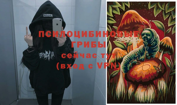 прущая мука Дрезна