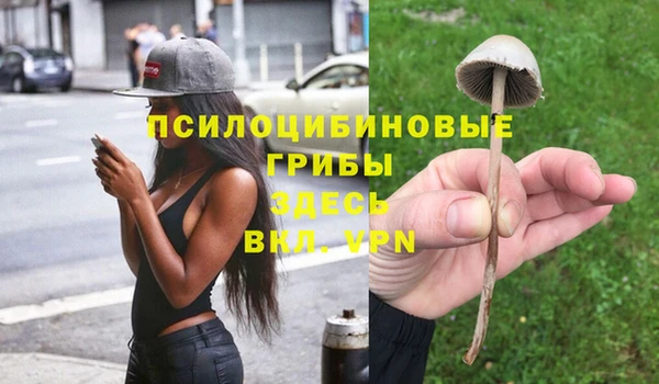 прущий лед Ельня