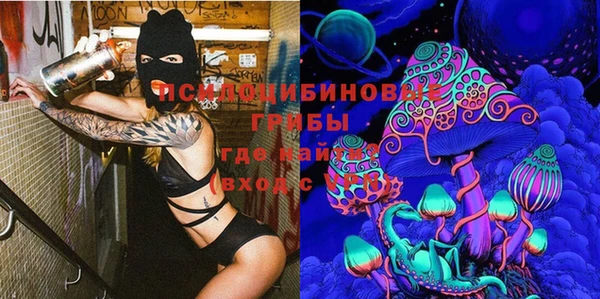 apvp Елизово