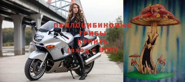 прущий лед Ельня