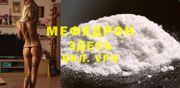 стаф Дубна