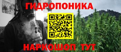 крисы Краснодар