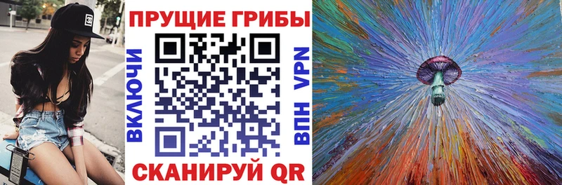 Псилоцибиновые грибы GOLDEN TEACHER купить наркотик Заволжье