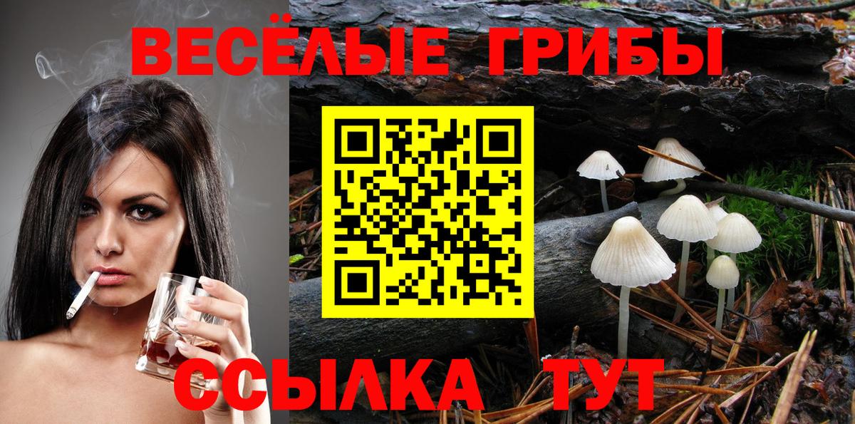 Галлюциногенные грибы Magic Shrooms Заволжье